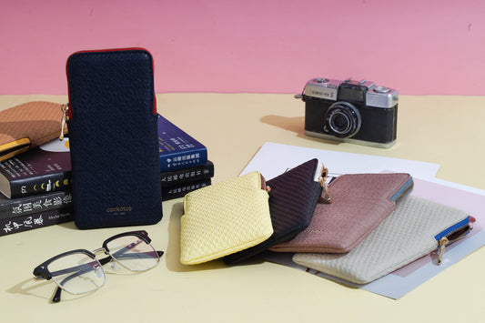 He Ultimate PU Glasses Case Guide